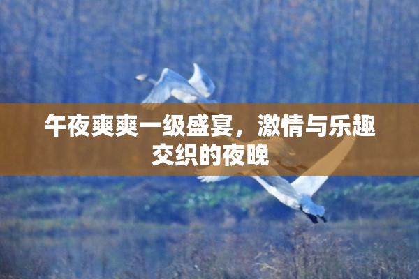 午夜爽爽一级盛宴，激情与乐趣交织的夜晚