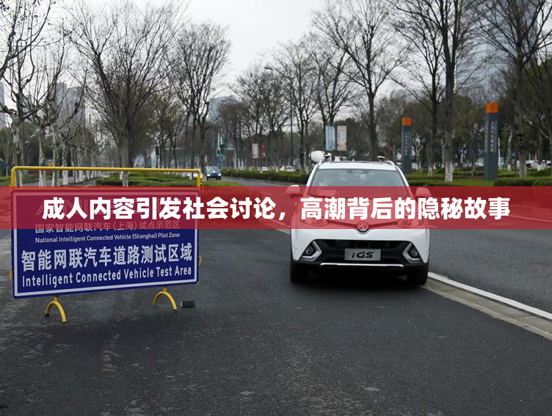 成人内容引发社会讨论，高潮背后的隐秘故事