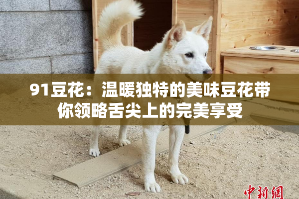 91豆花：温暖独特的美味豆花带你领略舌尖上的完美享受