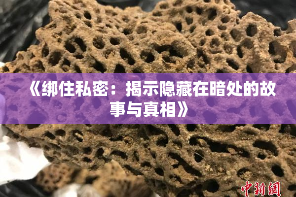 《绑住私密：揭示隐藏在暗处的故事与真相》