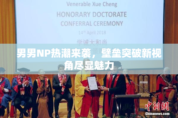男男NP热潮来袭，壁垒突破新视角尽显魅力