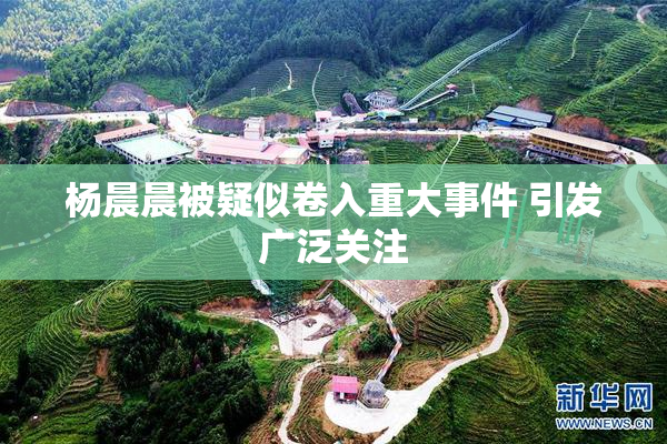 杨晨晨被疑似卷入重大事件 引发广泛关注