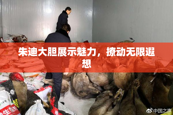 朱迪大胆展示魅力，撩动无限遐想