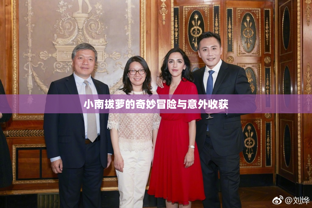 小南拔萝的奇妙冒险与意外收获