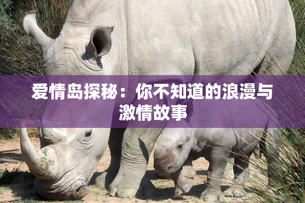爱情岛探秘：你不知道的浪漫与激情故事