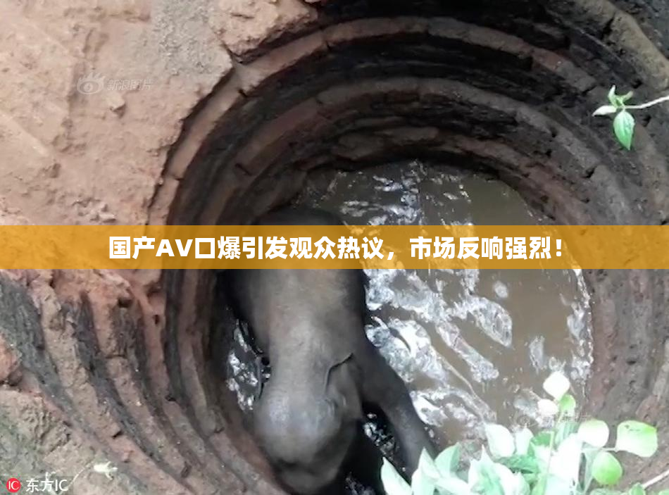 国产AV口爆引发观众热议，市场反响强烈！
