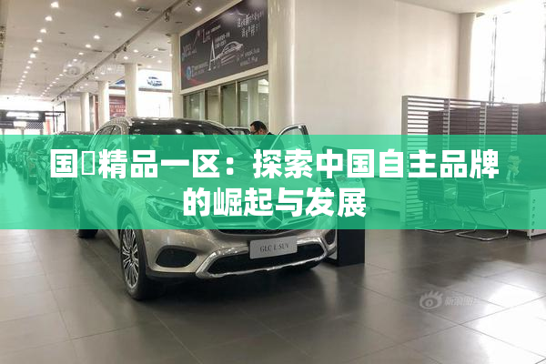 国產精品一区：探索中国自主品牌的崛起与发展
