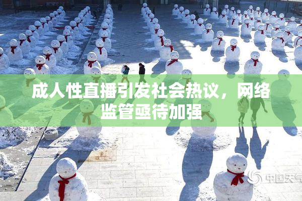 成人性直播引发社会热议，网络监管亟待加强