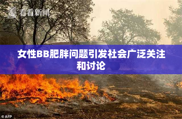 女性BB肥胖问题引发社会广泛关注和讨论