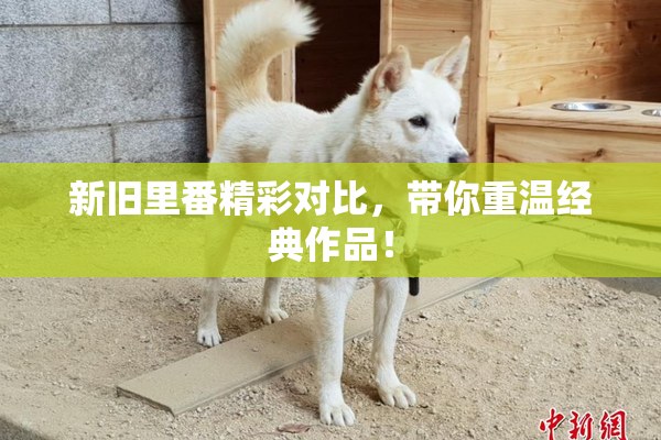 新旧里番精彩对比，带你重温经典作品！