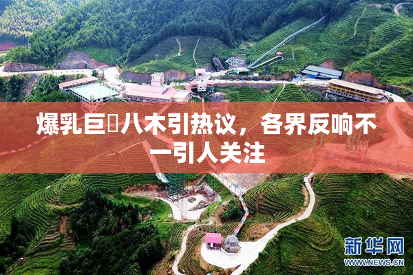爆乳巨凥八木引热议，各界反响不一引人关注