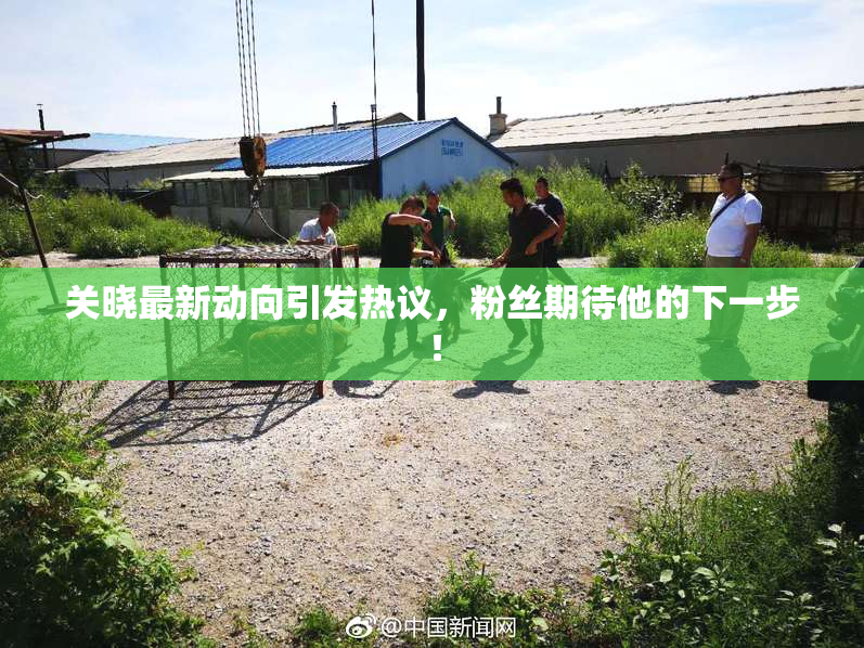 关晓最新动向引发热议，粉丝期待他的下一步！