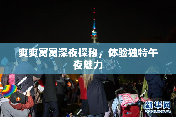 爽爽窝窝深夜探秘，体验独特午夜魅力