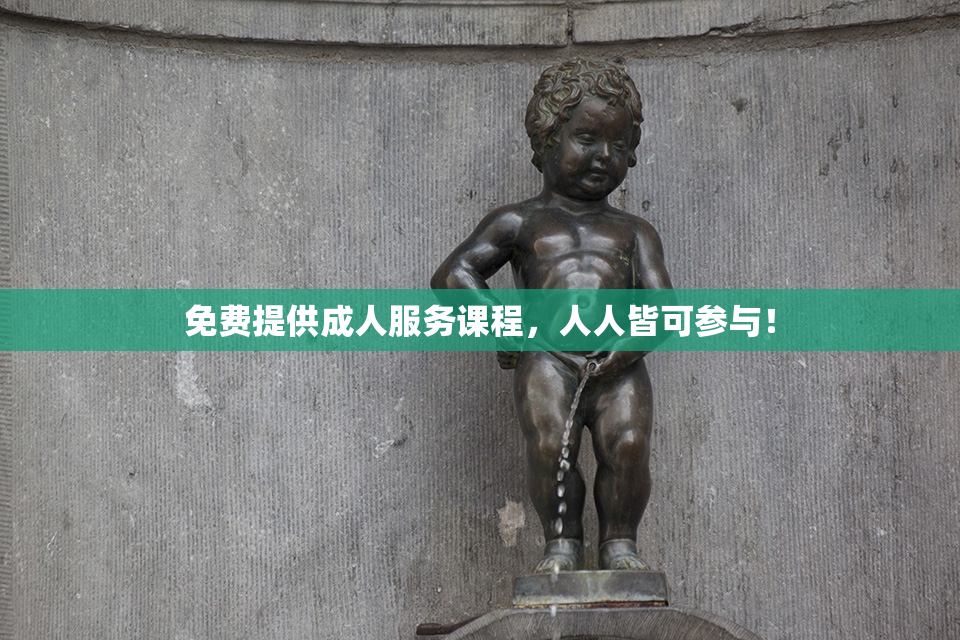 免费提供成人服务课程，人人皆可参与！