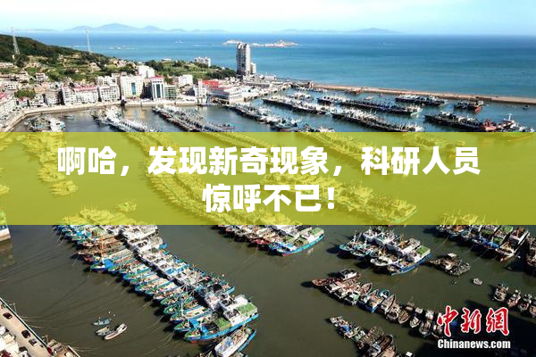 啊哈，发现新奇现象，科研人员惊呼不已！