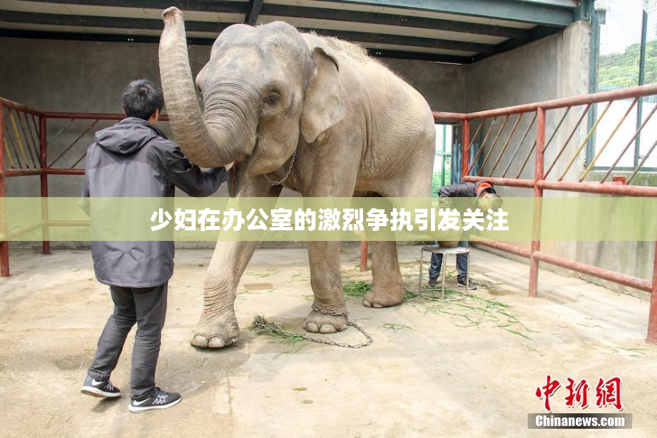 少妇在办公室的激烈争执引发关注