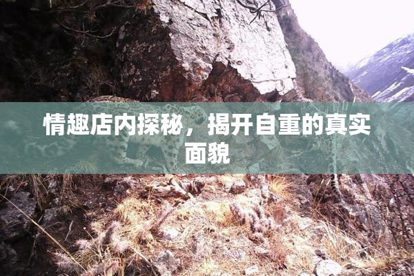 情趣店内探秘，揭开自重的真实面貌