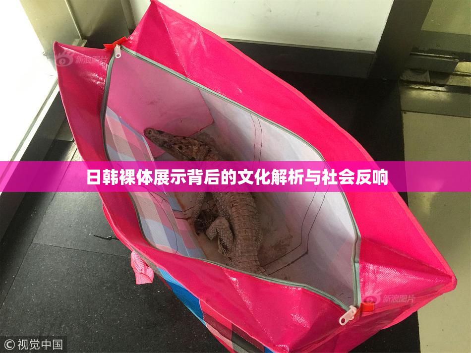 日韩裸体展示背后的文化解析与社会反响