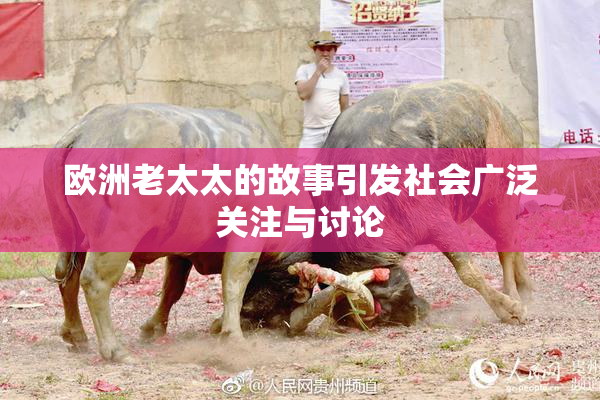 欧洲老太太的故事引发社会广泛关注与讨论