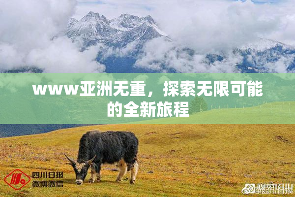 www亚洲无重，探索无限可能的全新旅程