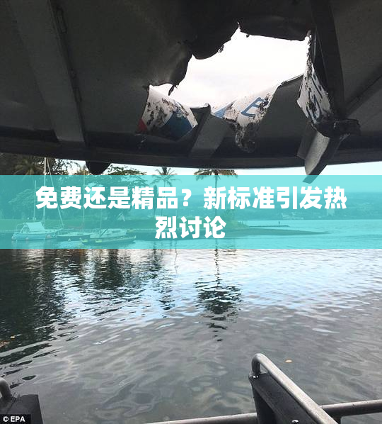 免费还是精品？新标准引发热烈讨论