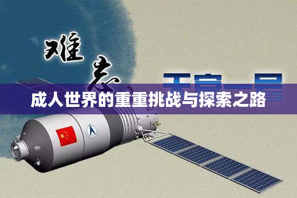 成人世界的重重挑战与探索之路