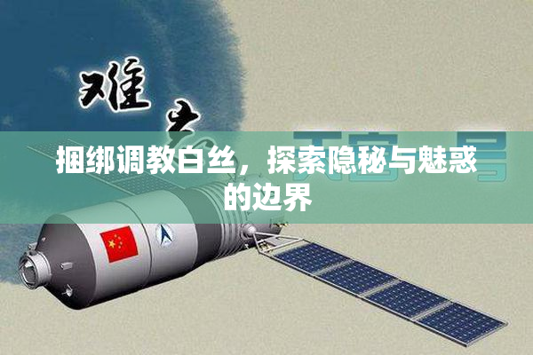 捆绑调教白丝，探索隐秘与魅惑的边界