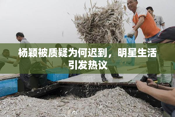 杨颖被质疑为何迟到，明星生活引发热议