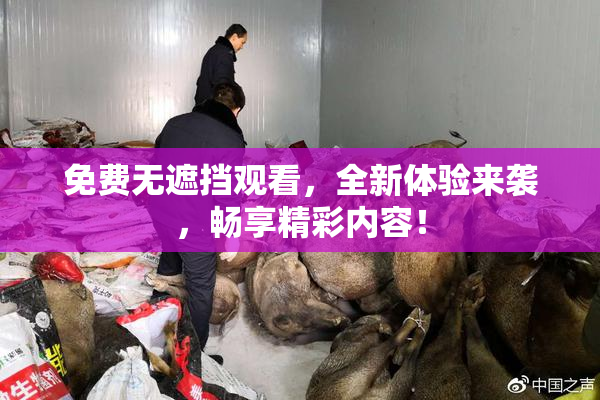 免费无遮挡观看，全新体验来袭，畅享精彩内容！
