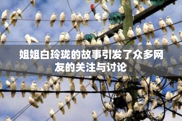 姐姐白玲珑的故事引发了众多网友的关注与讨论