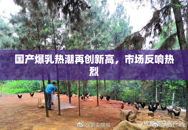 国产爆乳热潮再创新高，市场反响热烈