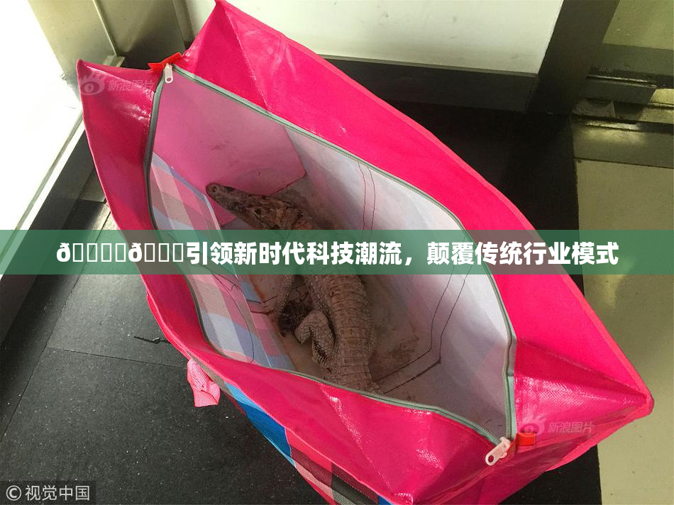 🔞‌🍌引领新时代科技潮流，颠覆传统行业模式