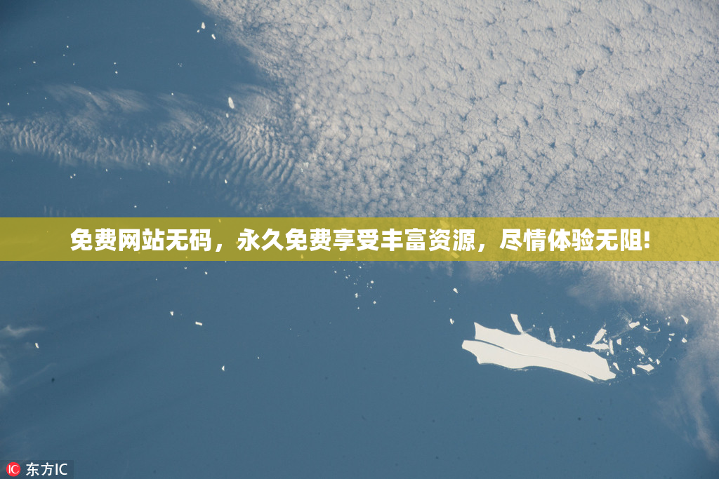 免费网站无码，永久免费享受丰富资源，尽情体验无阻!