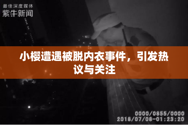 小樱遭遇被脱内衣事件，引发热议与关注
