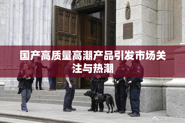 国产高质量高潮产品引发市场关注与热潮