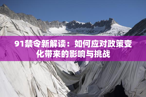 91禁令新解读：如何应对政策变化带来的影响与挑战