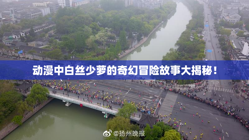 动漫中白丝少萝的奇幻冒险故事大揭秘！