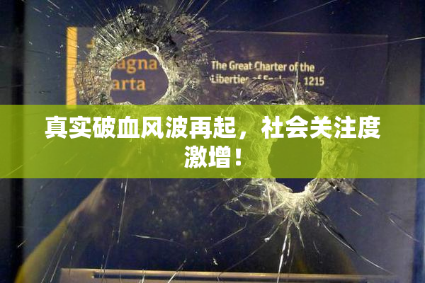 真实破血风波再起，社会关注度激增！
