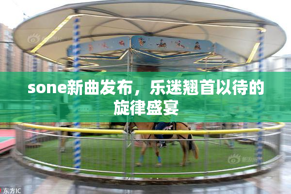 sone新曲发布，乐迷翘首以待的旋律盛宴