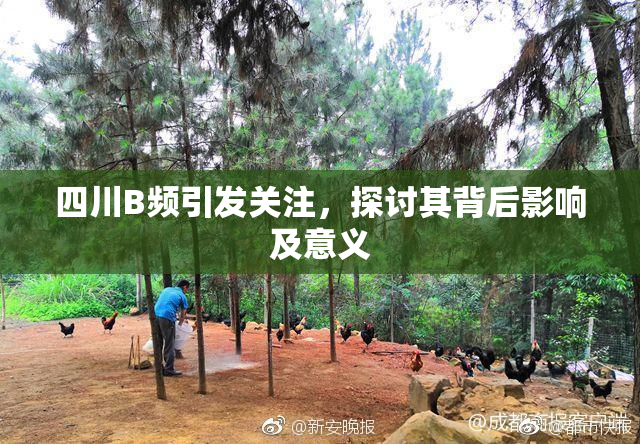 四川B频引发关注，探讨其背后影响及意义