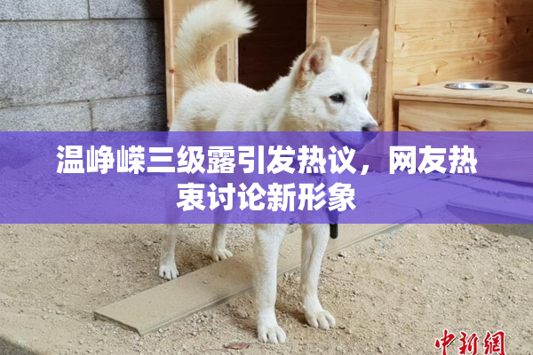 温峥嵘三级露引发热议，网友热衷讨论新形象