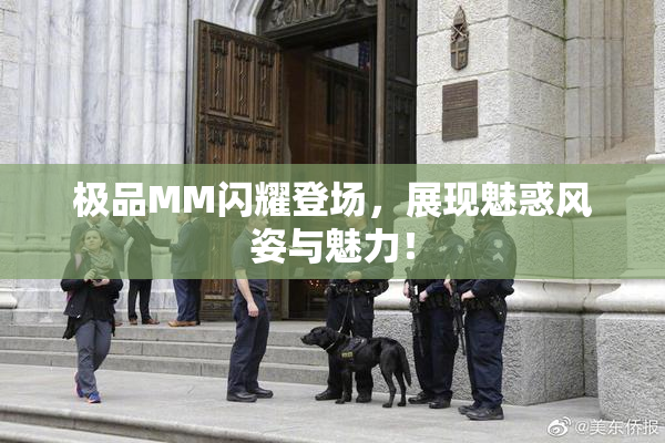 极品MM闪耀登场，展现魅惑风姿与魅力！