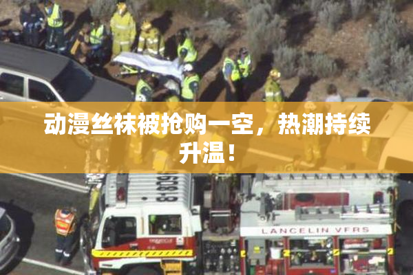 动漫丝袜被抢购一空，热潮持续升温！