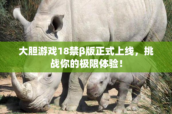 大胆游戏18禁β版正式上线，挑战你的极限体验！