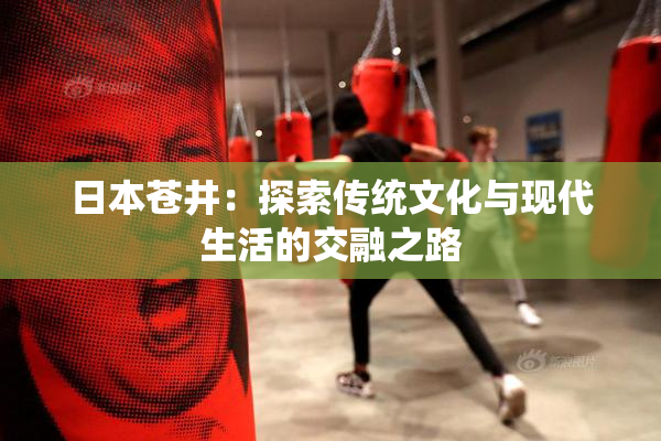 日本苍井：探索传统文化与现代生活的交融之路