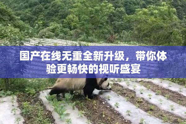 国产在线无重全新升级，带你体验更畅快的视听盛宴