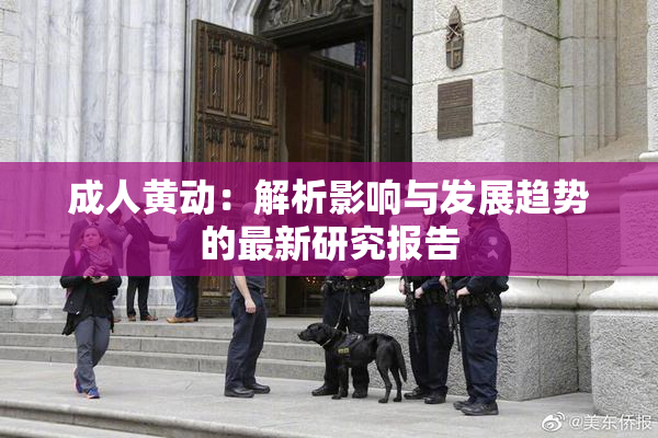 成人黄动：解析影响与发展趋势的最新研究报告