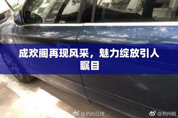 成欢阁再现风采，魅力绽放引人瞩目