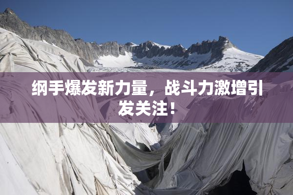 纲手爆发新力量，战斗力激增引发关注！