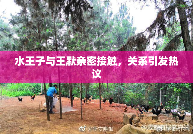 水王子与王默亲密接触，关系引发热议